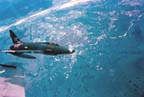 Picture of an F-100D in formation over Vietnam.
               Click on this picture to start the video.